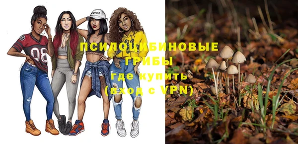 спайс Козельск