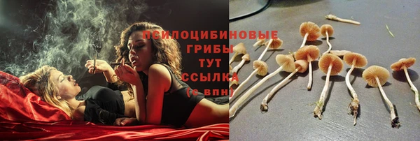 спайс Козельск